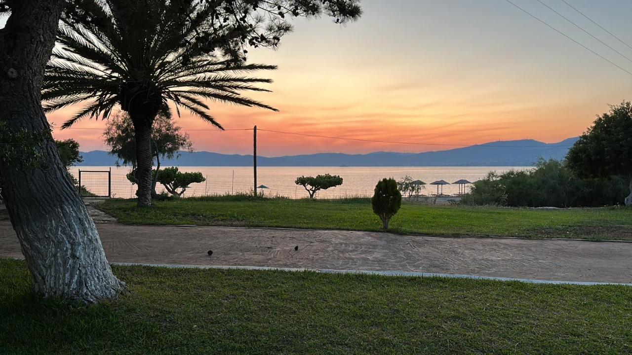 Bouros Seaview Farm Βίλα Κάρυστος Εξωτερικό φωτογραφία